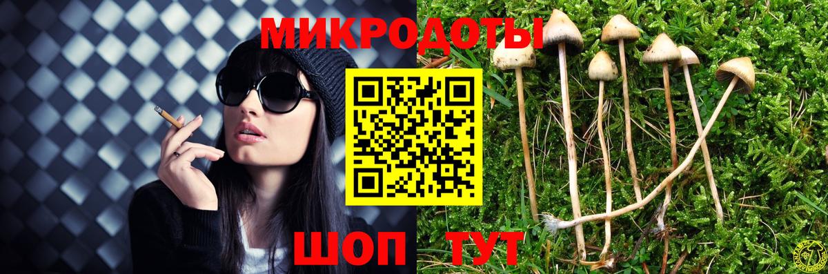 Псилоцибиновые грибы Psilocybe Сердобск