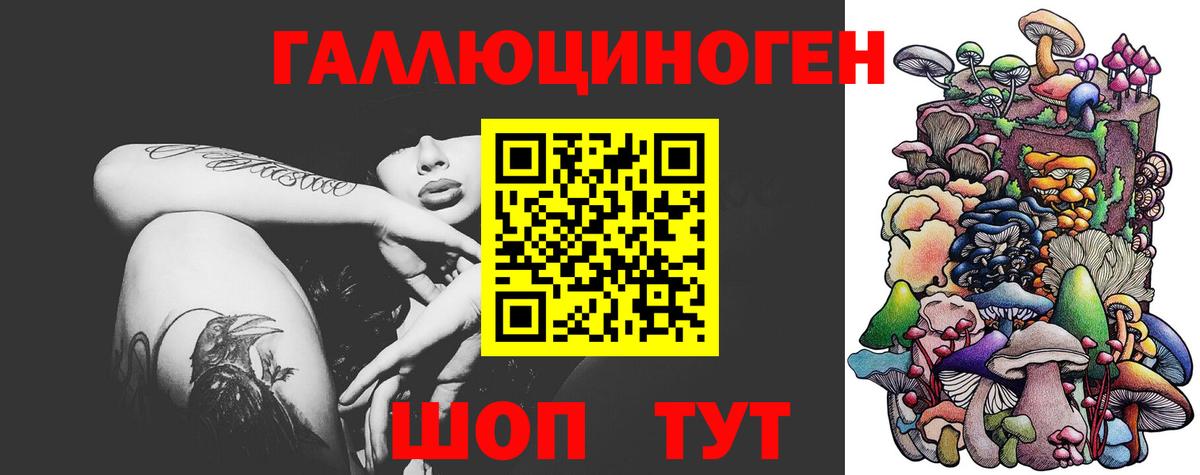 Сердобск  Псилоцибиновые грибы мицелий  Вход с VPN 